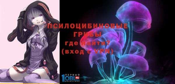 apvp Медногорск
