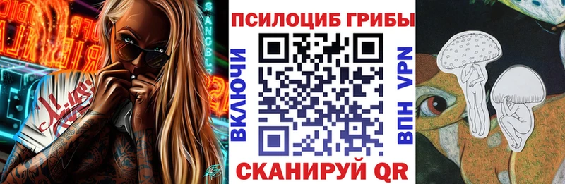 Купить закладки Качканар Псилоцибиновые грибы Psilocybine cubensis