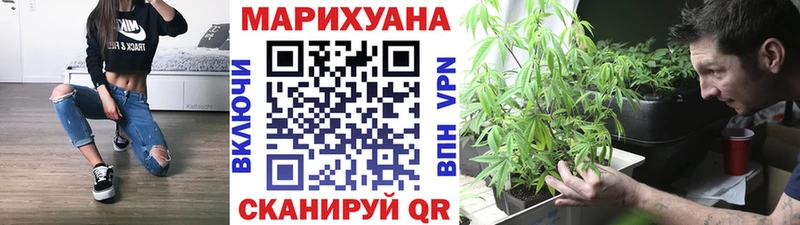 Купить где  Качканар  Бошки Шишки гибрид 